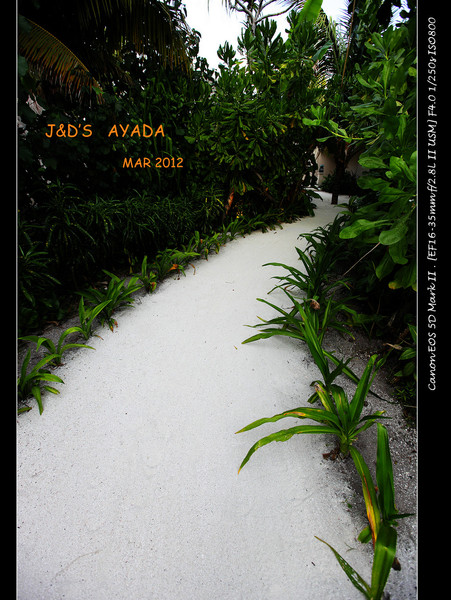 马尔代夫景点图片