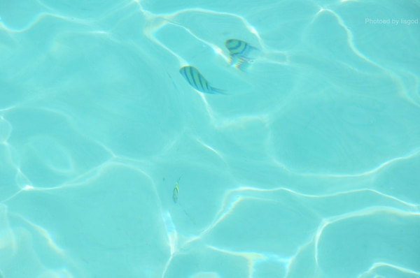 马尔代夫图片 马尔代夫图片