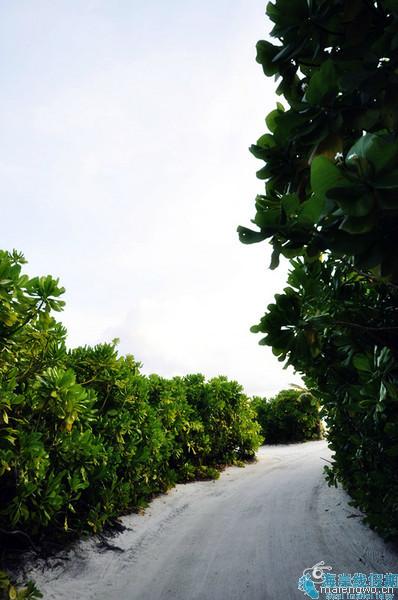 马尔代夫旅游攻略图片