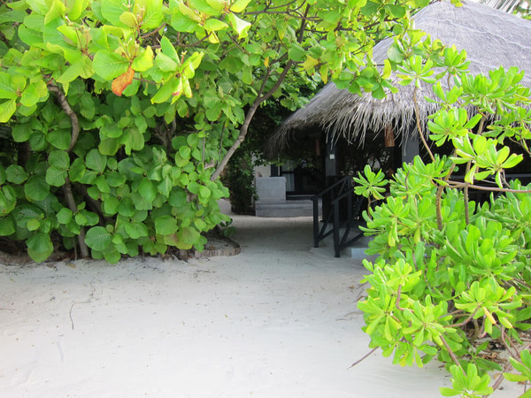 马尔代夫自助游图片