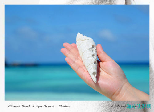 马尔代夫双鱼岛蜜月之行,马尔代夫游记，海岸线假期