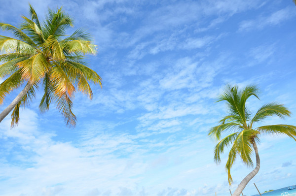 薇拉瓦鲁岛景点图片