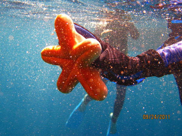 马尔代夫旅游攻略图片