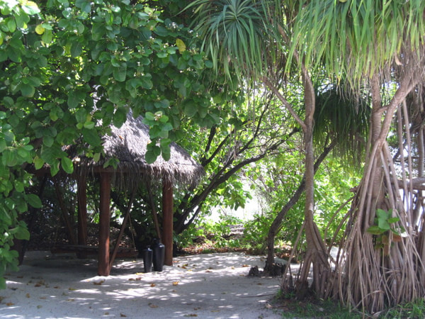 马尔代夫景点图片 马尔代夫景点图片