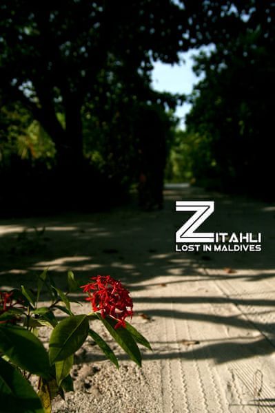 马尔代夫旅游攻略图片