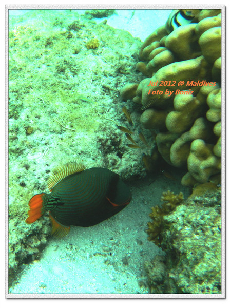 卡努呼拉岛景点图片 卡努呼拉岛景点图片