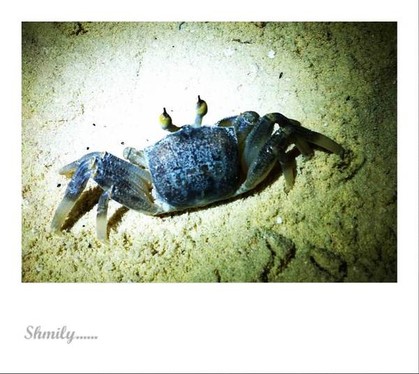 马尔代夫旅游攻略图片