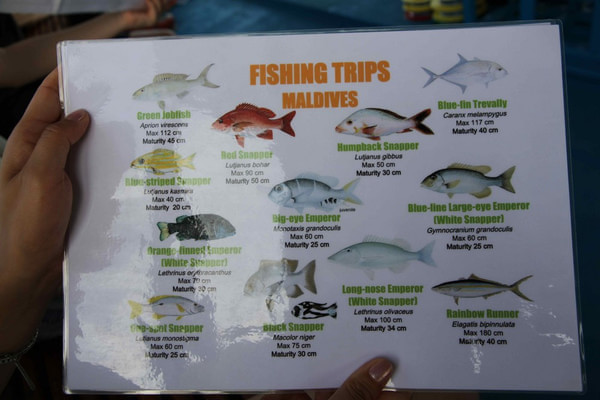 马尔代夫旅游攻略图片