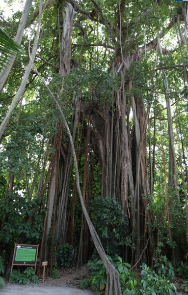 马尔代夫景点图片