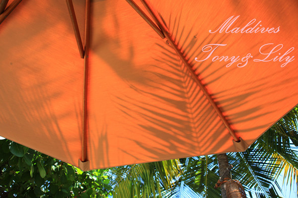 马尔代夫自助游图片