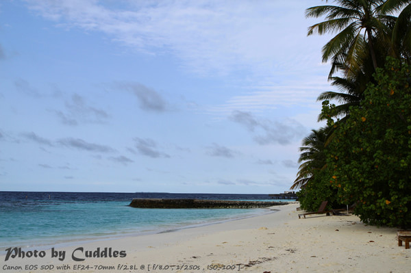 马尔代夫自助游图片 马尔代夫自助游图片