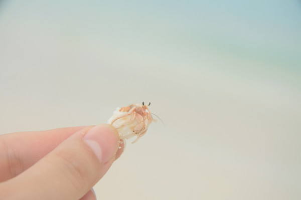 马尔代夫景点图片 马尔代夫景点图片