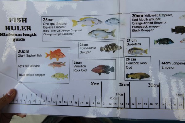 马尔代夫自助游图片