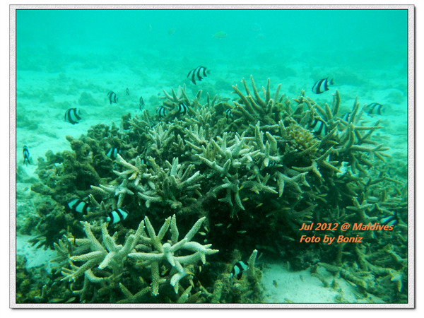 卡努呼拉岛旅游攻略图片 卡努呼拉岛旅游攻略图片