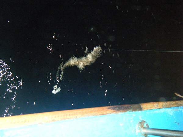 马尔代夫景点图片