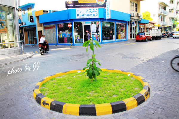 马尔代夫自助游图片