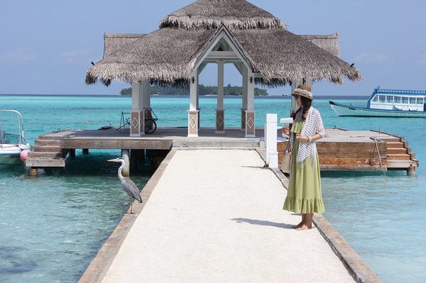 马尔代夫旅游攻略图片