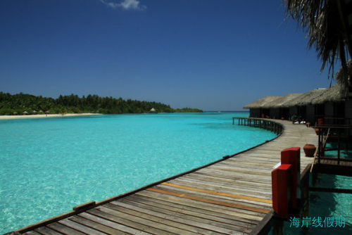 麻袋Filitheyo与鱼同游,马尔代夫游记，海岸线假期