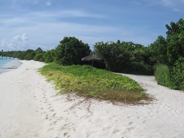 马尔代夫图片 马尔代夫图片