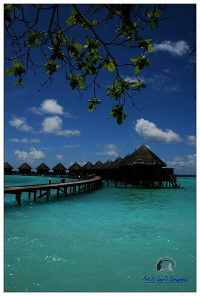 马尔代夫自助游图片