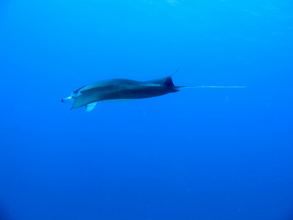 马尔代夫旅游攻略图片