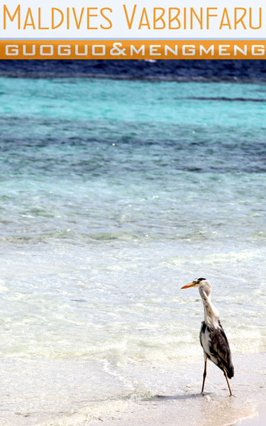 马尔代夫旅游攻略图片 马尔代夫旅游攻略图片