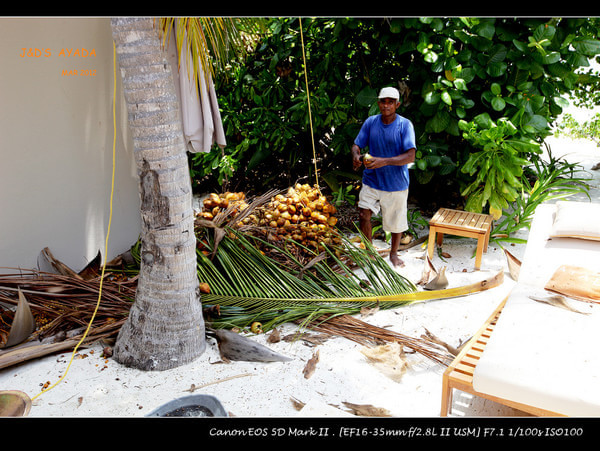马尔代夫景点图片