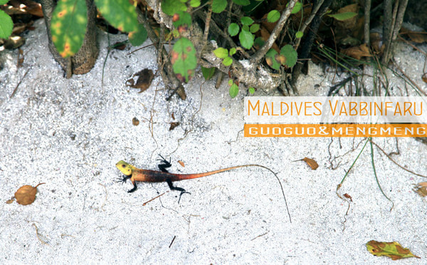 马尔代夫景点图片 马尔代夫景点图片