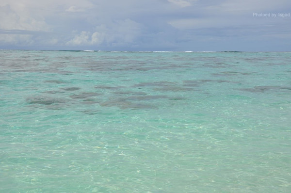 马尔代夫旅游攻略图片 马尔代夫旅游攻略图片