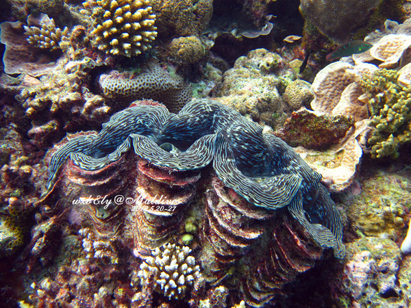 迪拜景点图片 迪拜景点图片