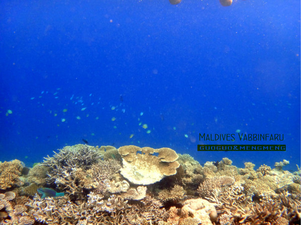 马尔代夫景点图片 马尔代夫景点图片