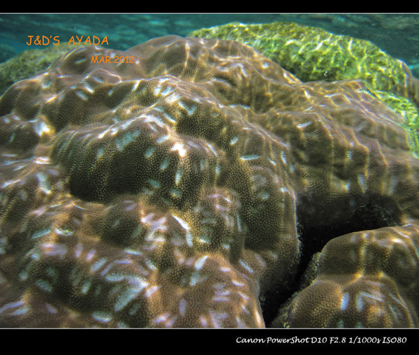 马尔代夫景点图片