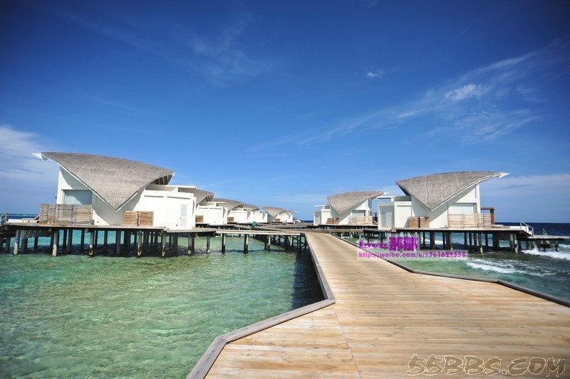 nEO_IMG_DSC_2584.jpg nEO_IMG_DSC_2584.jpg