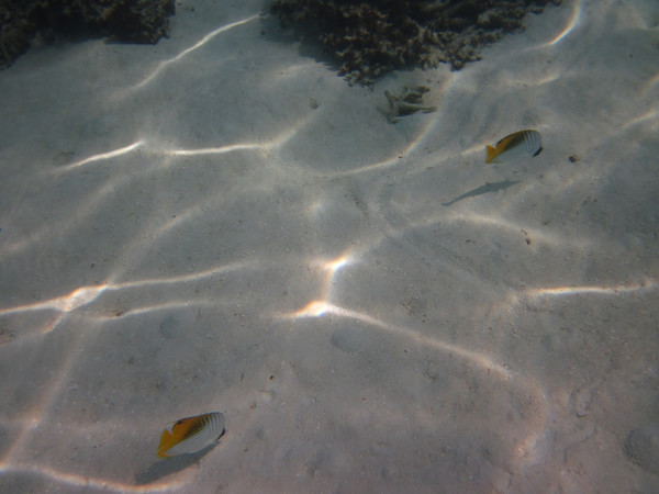 马尔代夫自助游图片 马尔代夫自助游图片