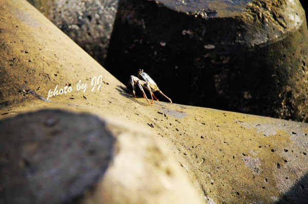 马尔代夫自助游图片