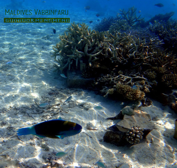 马尔代夫景点图片 马尔代夫景点图片