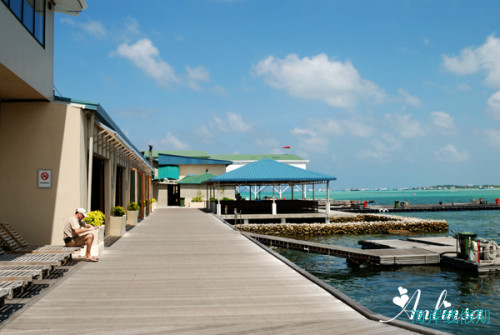 马尔代夫-曼德芙岛,马尔代夫游记，海岸线假期