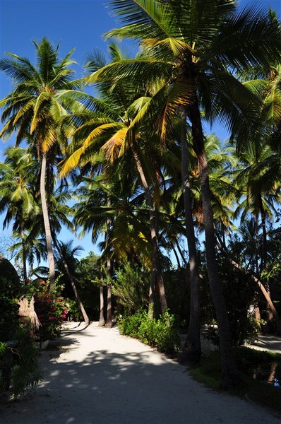 马尔代夫旅游攻略图片 马尔代夫旅游攻略图片