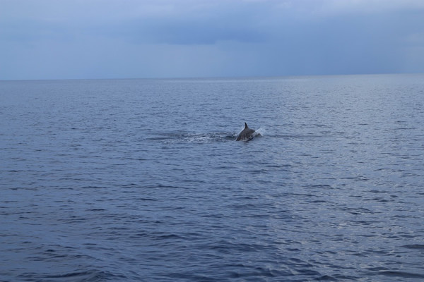 马尔代夫旅游攻略图片 马尔代夫旅游攻略图片