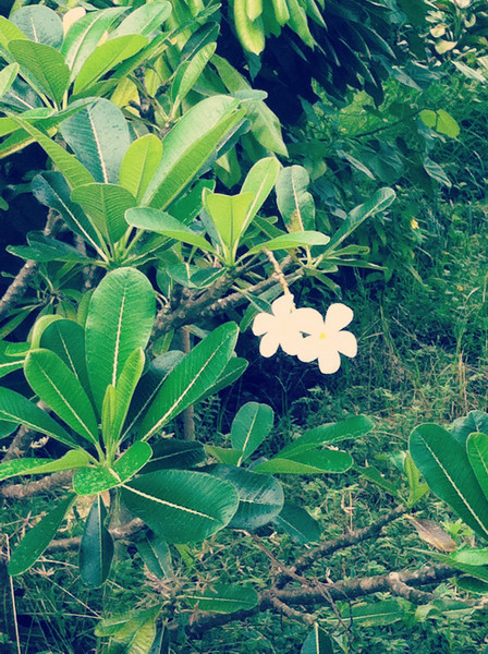 阿雅达旅游攻略图片