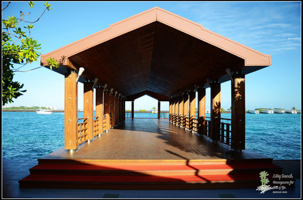 马尔代夫景点图片