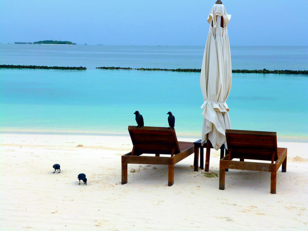 马尔代夫景点图片