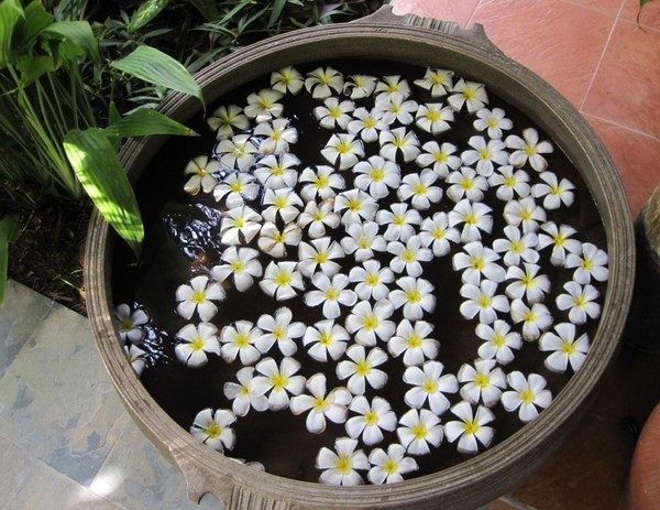 马尔代夫旅游攻略图片