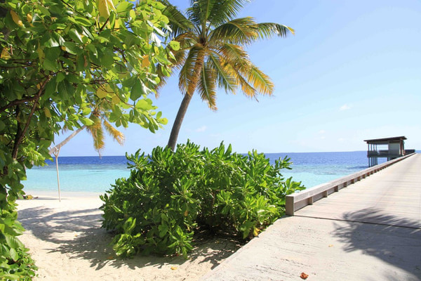 马尔代夫景点图片