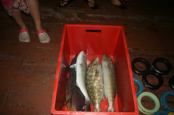 马尔代夫旅游攻略图片 马尔代夫旅游攻略图片