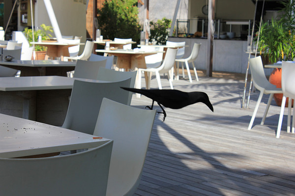 马尔代夫自助游图片