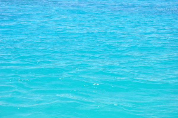 马尔代夫自助游图片 马尔代夫自助游图片