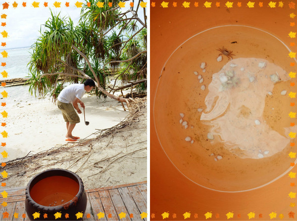 薇拉瓦鲁岛自助游图片