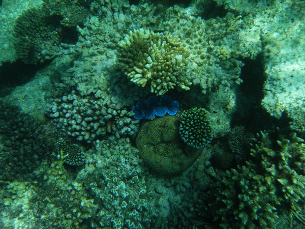 马尔代夫景点图片