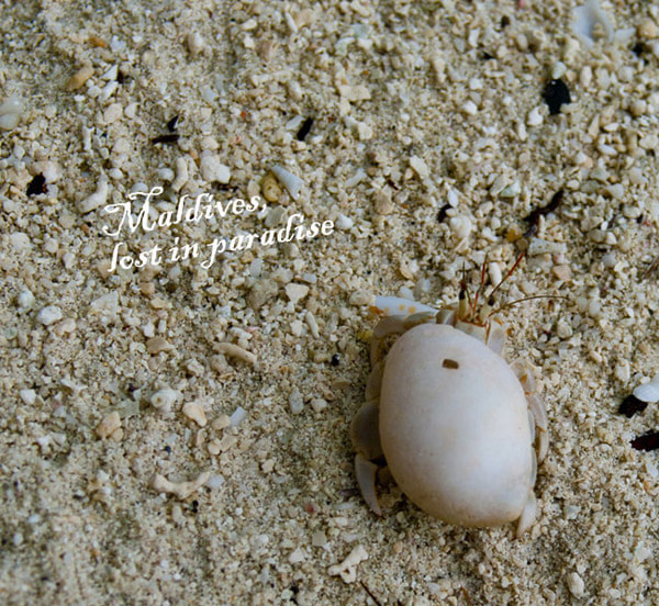 马尔代夫自助游图片